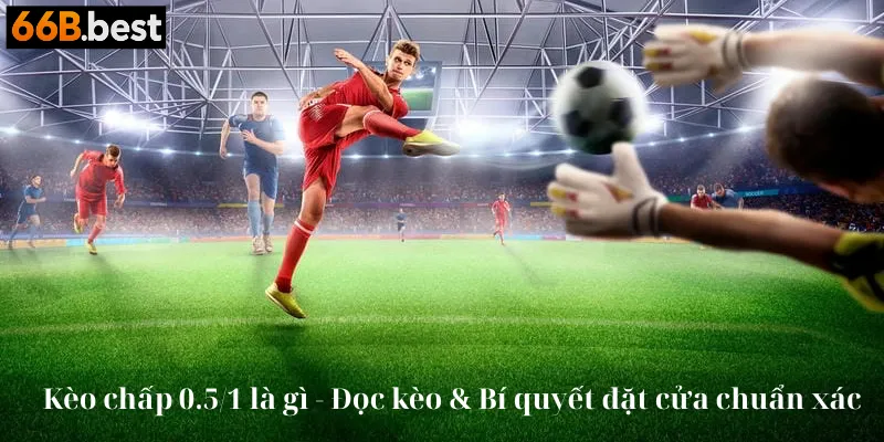 kèo chấp 0.5/1 là gì