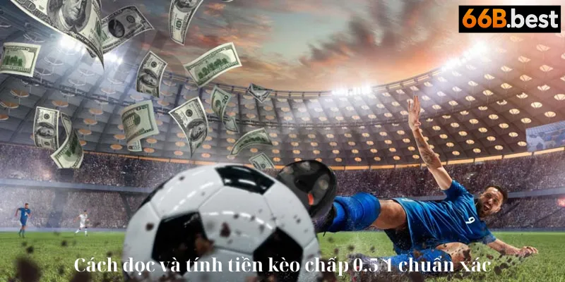 kèo 0.5/1 là gì cách đọc & tính tiền kèo